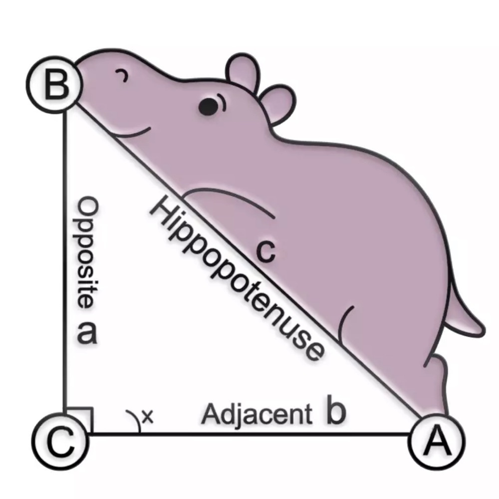 1 LEFT‼️ Math Hippo Enamel Pin Punny Hippopotamus Badge Geometry Student Joke